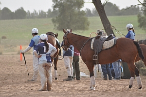 Gum Creek Polocrosse 2009 - Sidelines - 6112 © Claire Parks Photography