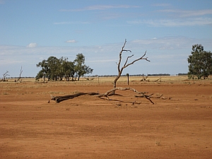 Rural Australia 2657 © Claire Parks Photography