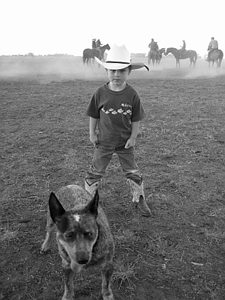 Rural Australia 'polox practice 5' © Claire Parks Photography